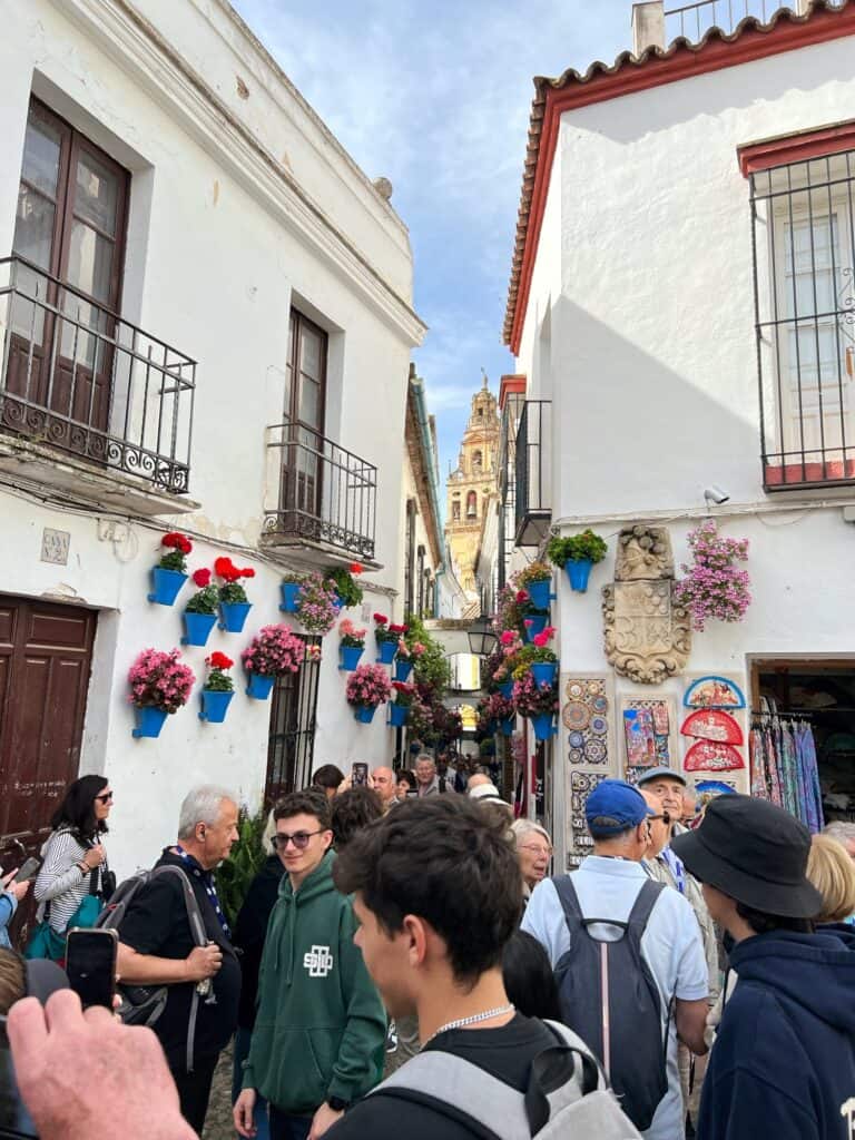 The crowds of tourists inside the flower alley of Cordoba
