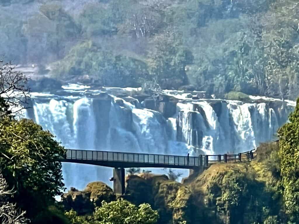 Victoria Falls in background and pathway in foreground. Surrounded by trees
