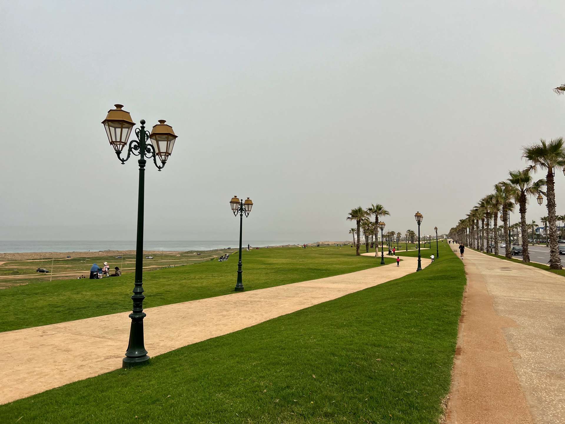a coastal pathway with palm trees and lampposts 