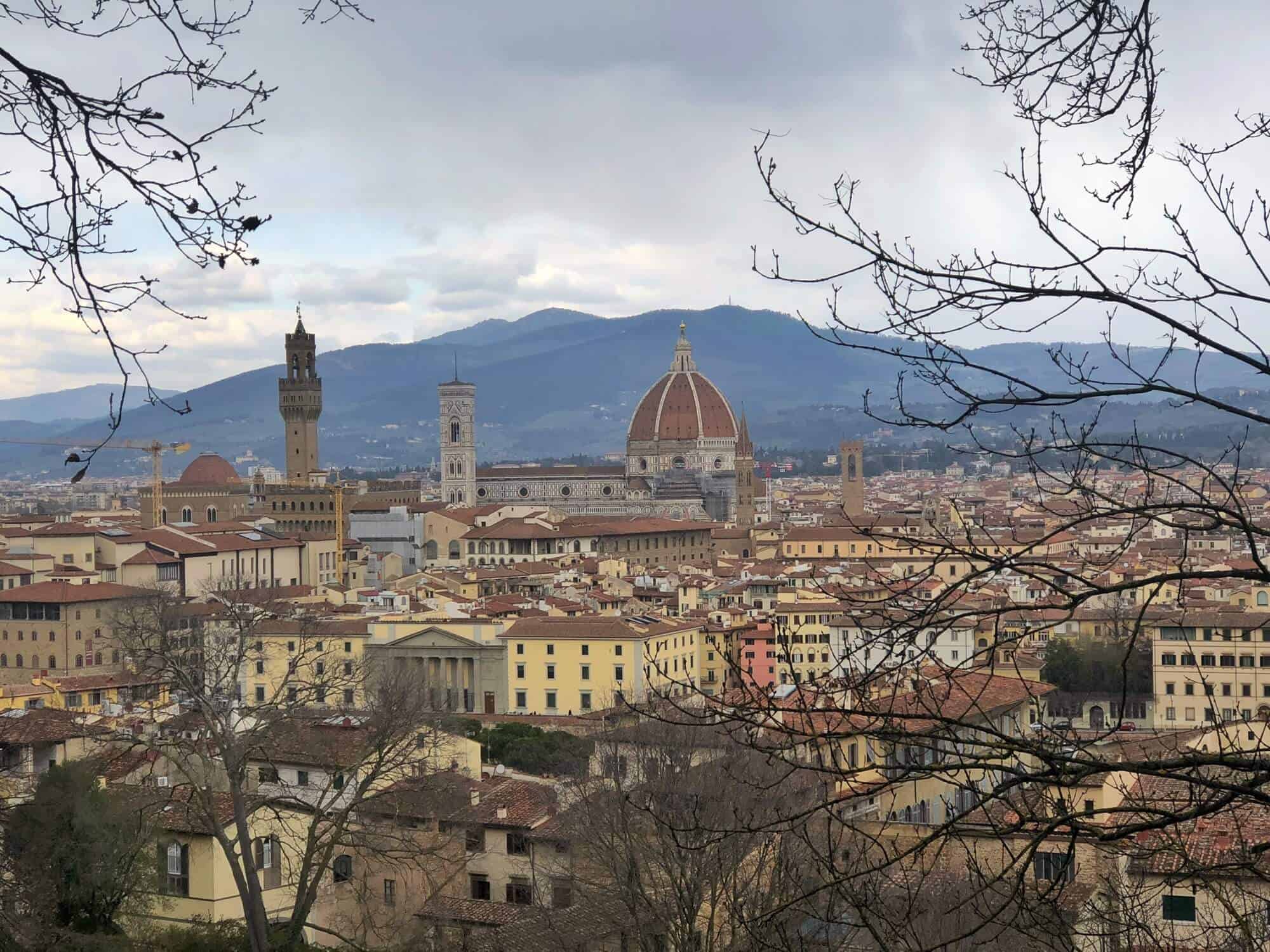 View of Florence from Bardini Gardens 