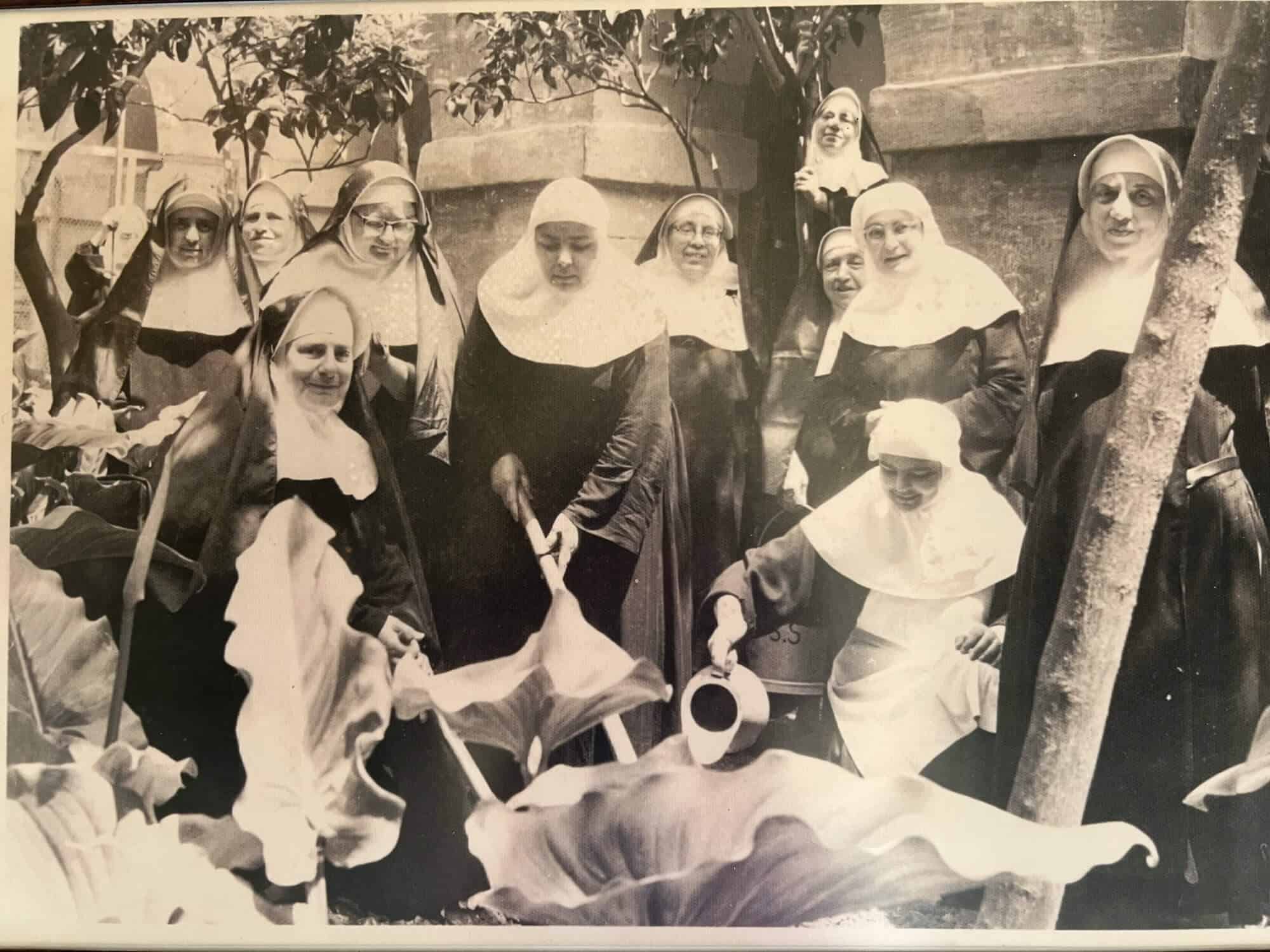 Old photo with several nuns working in the garden 