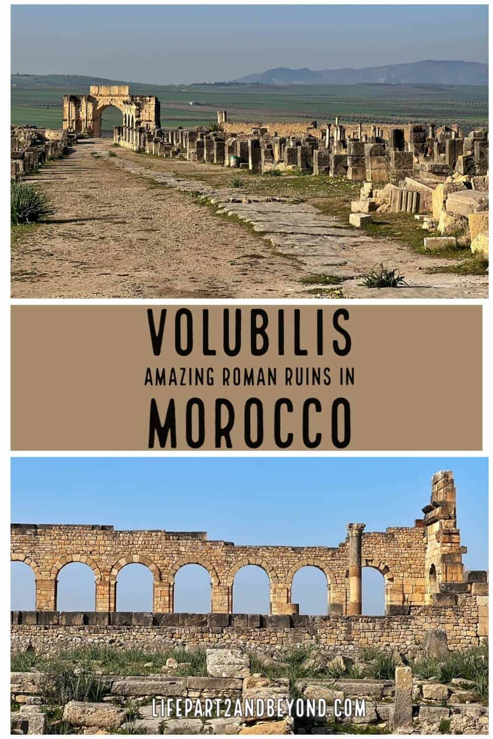 Pin Post for Volubilus 