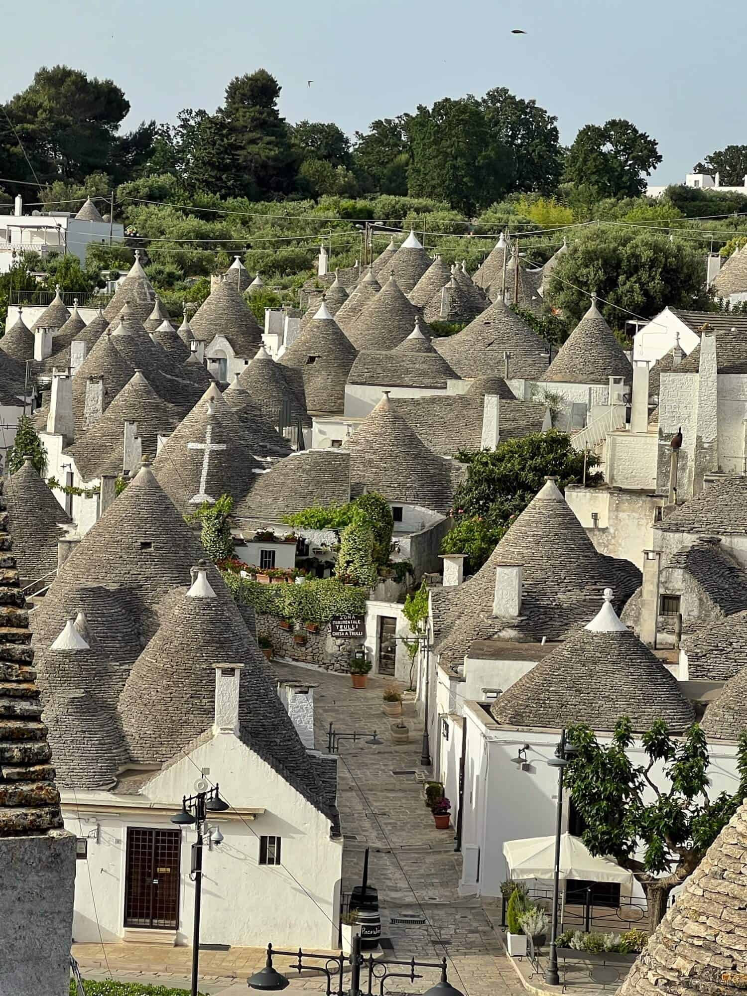 A view of Alberobello and all the Trulli