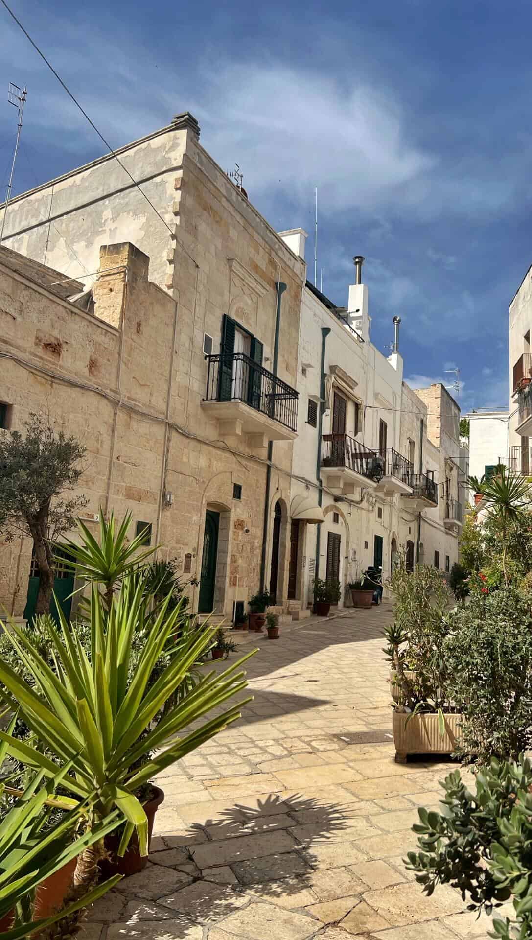 street lined with houses, balconies and plants 