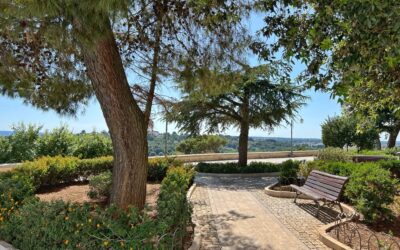One Perfect Day In Locorotondo