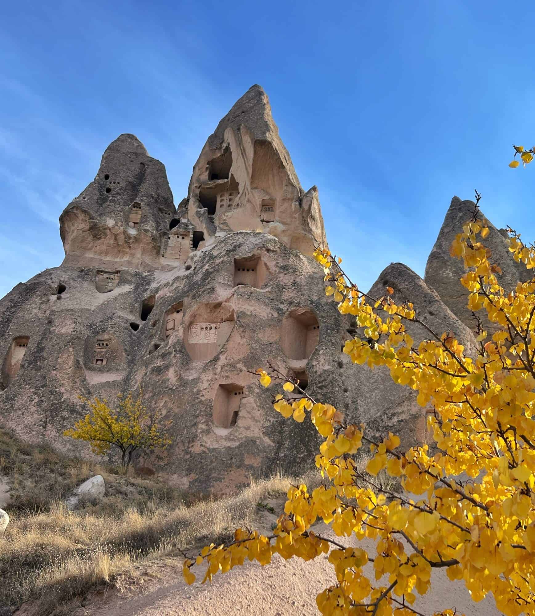 Rocks with cut out windows and a yellow leaf bush 