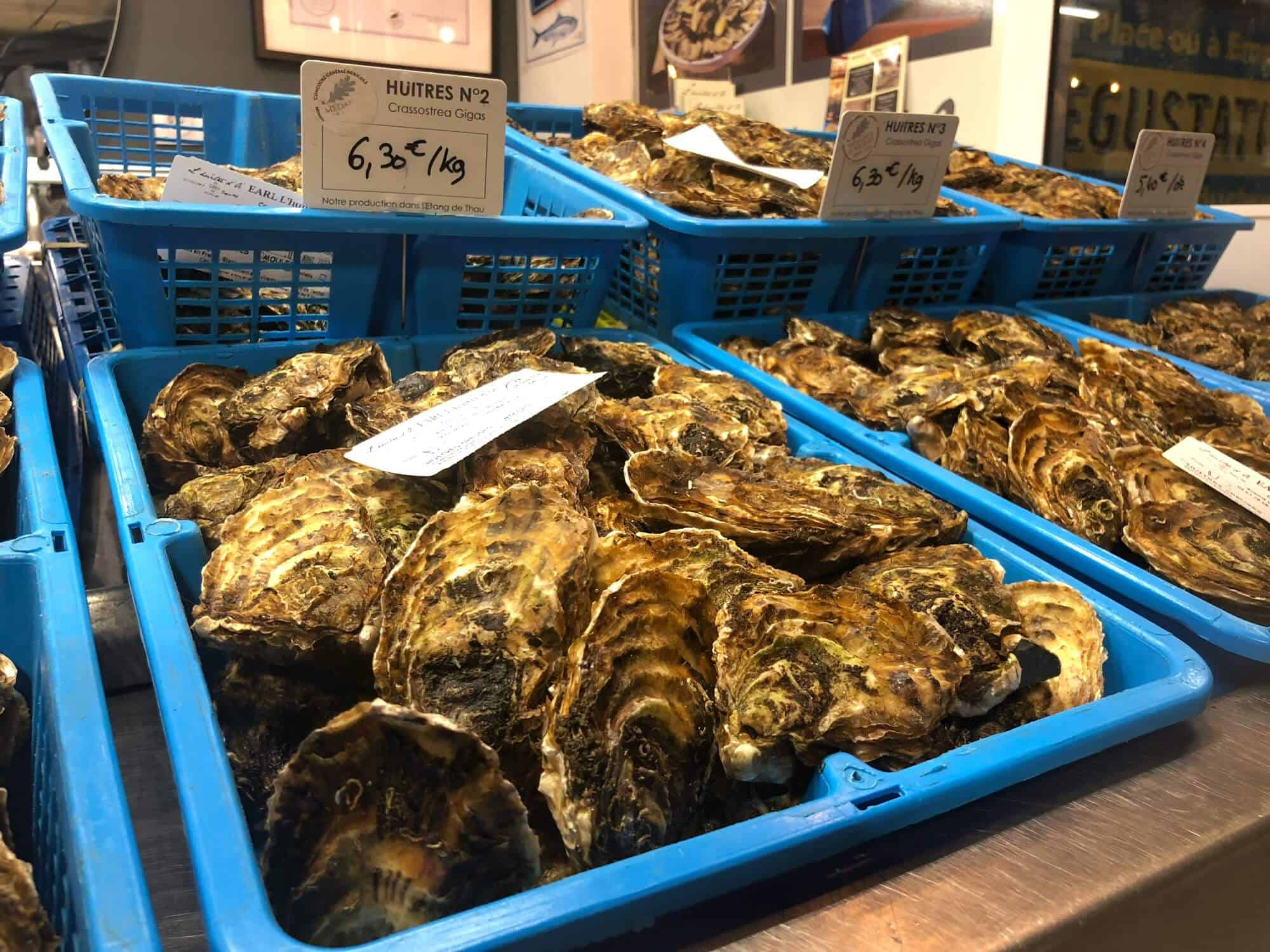oysters in blue baskets 