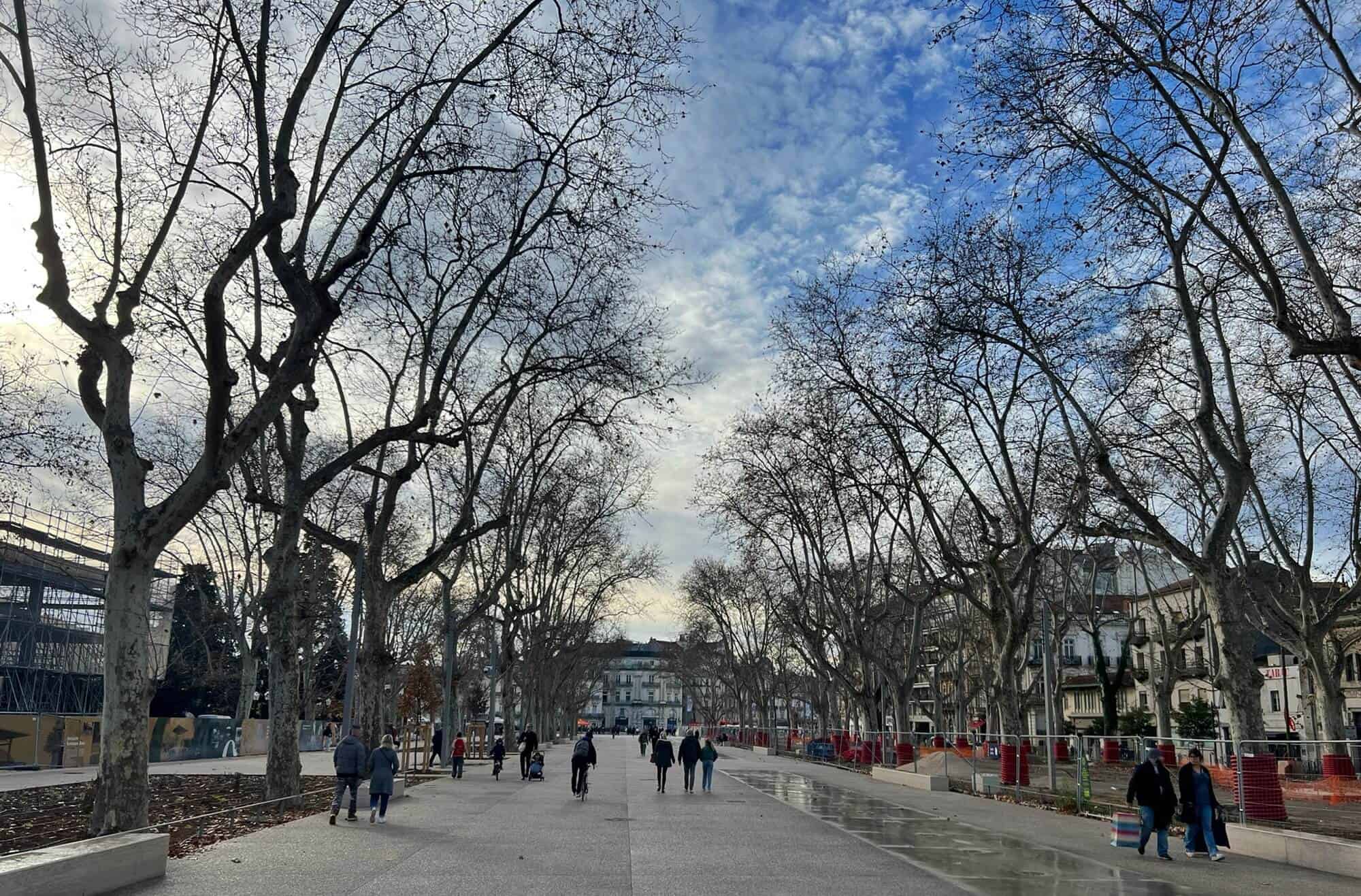 Tree lined promenade but as winter trees are without leaves. A few people walking on the promenade