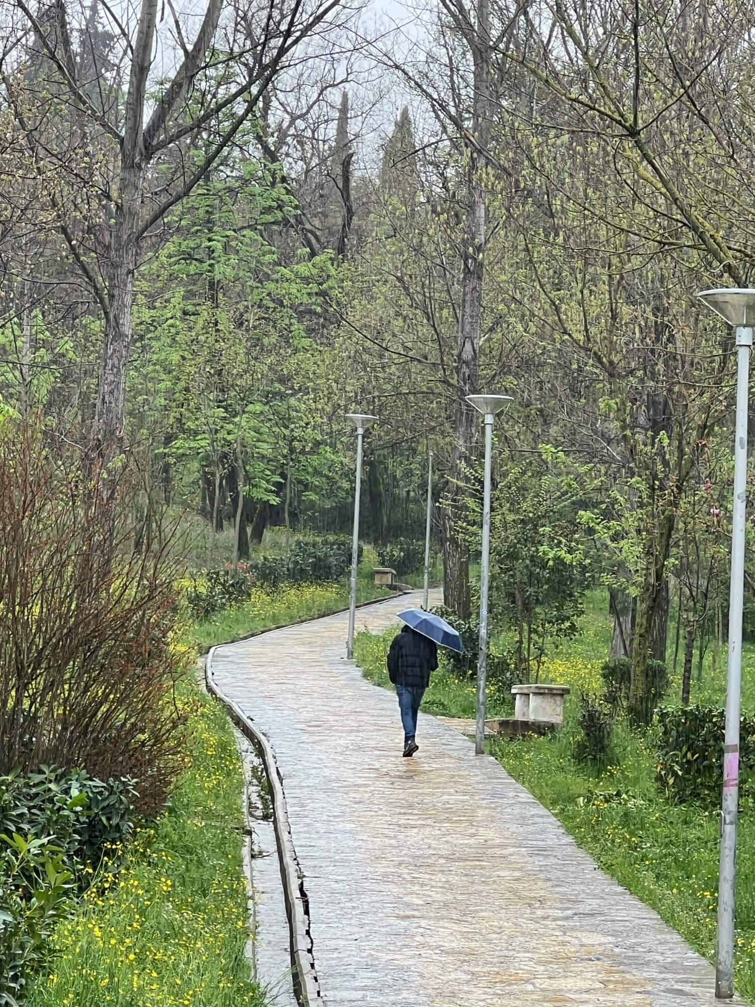 A man with an umbrella walking in Tirana Park. 