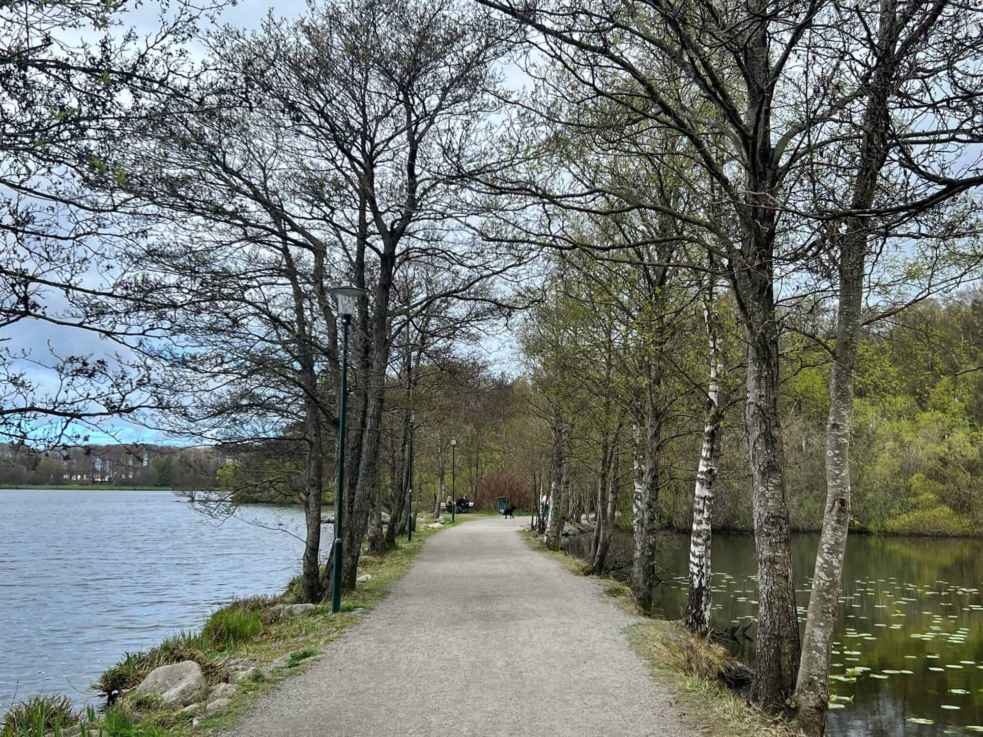 Lake walk at Mosvatnet Lake.