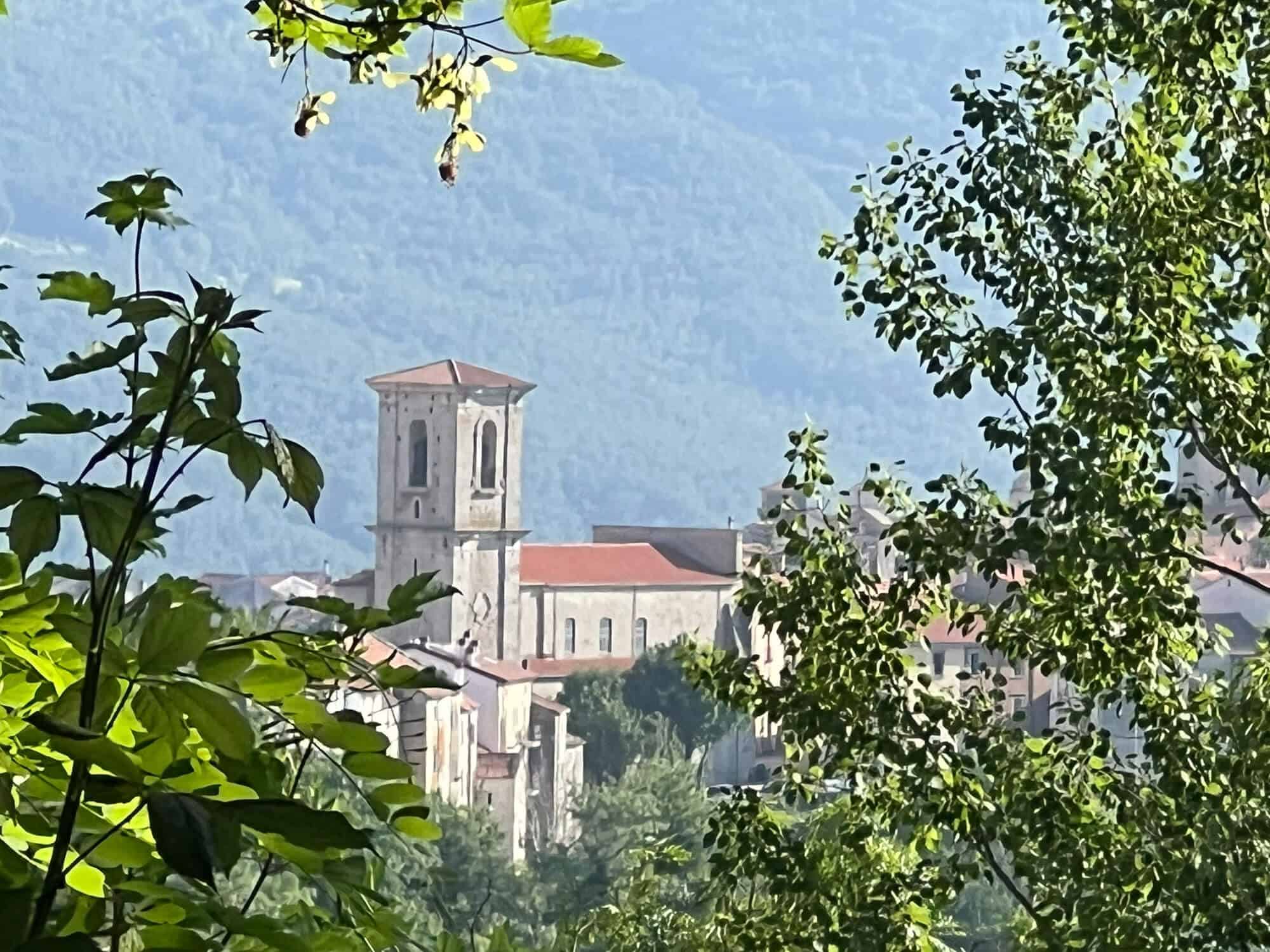 View of Agnone's church tower through the trees