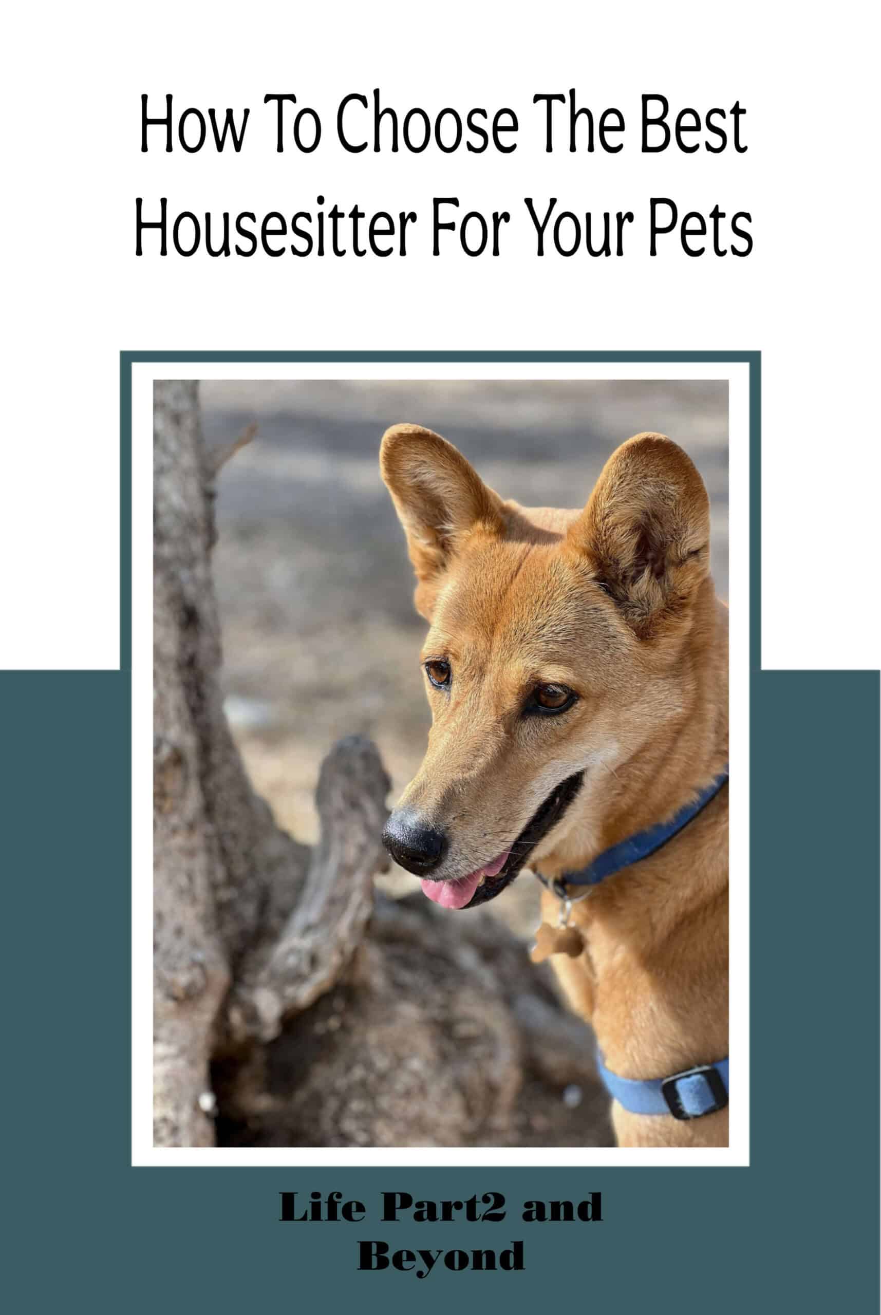 Pin Post for house sitting from a home owners perspective