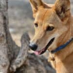 IMG_4696_SnapseedCopy