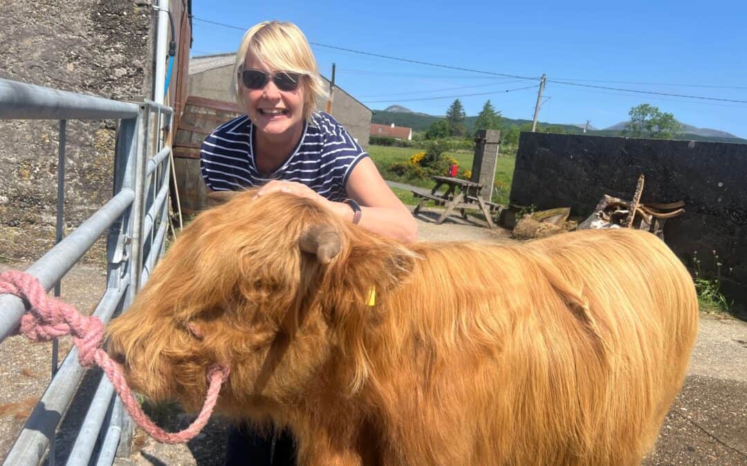 Is the Isle of Arran Worth Visiting? Here’s Why I Think It Is