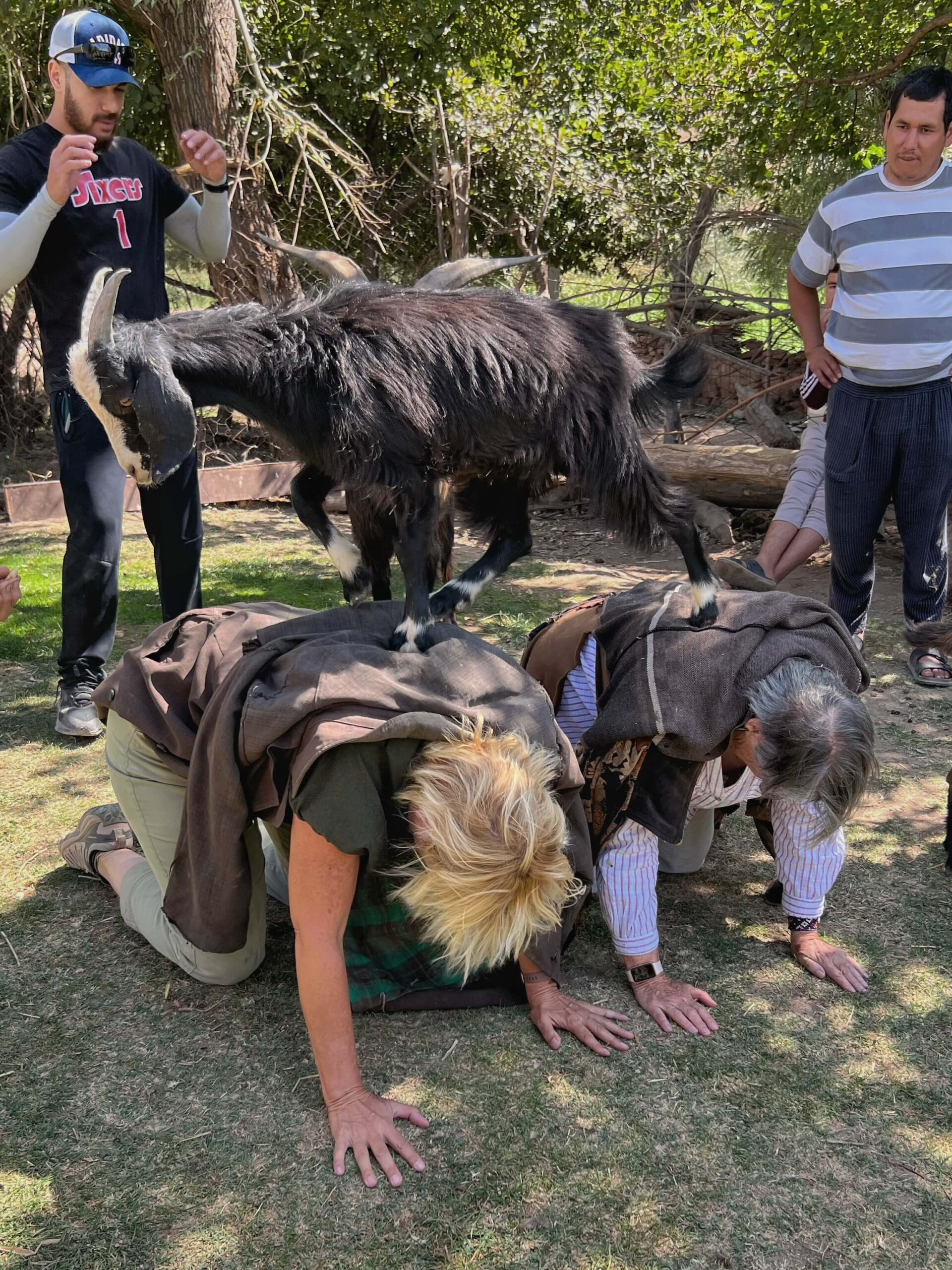 Goat massage in Turkmenistan